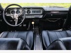 Thumbnail Photo 14 for 1964 Pontiac GTO